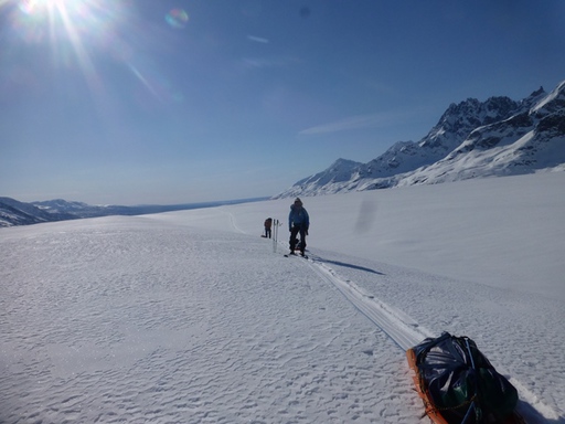 2014-04_exped-report_usa_alaska_sea2top_skiing-to-denali-bc_33.JPG