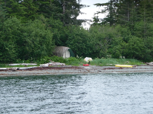 2014-07-07_usa_alaska_pws_squire-island_whale-camp1.JPG