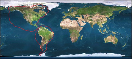 toptotop-1st-circumnavigation-of-2-americas-in-fig-8.jpg